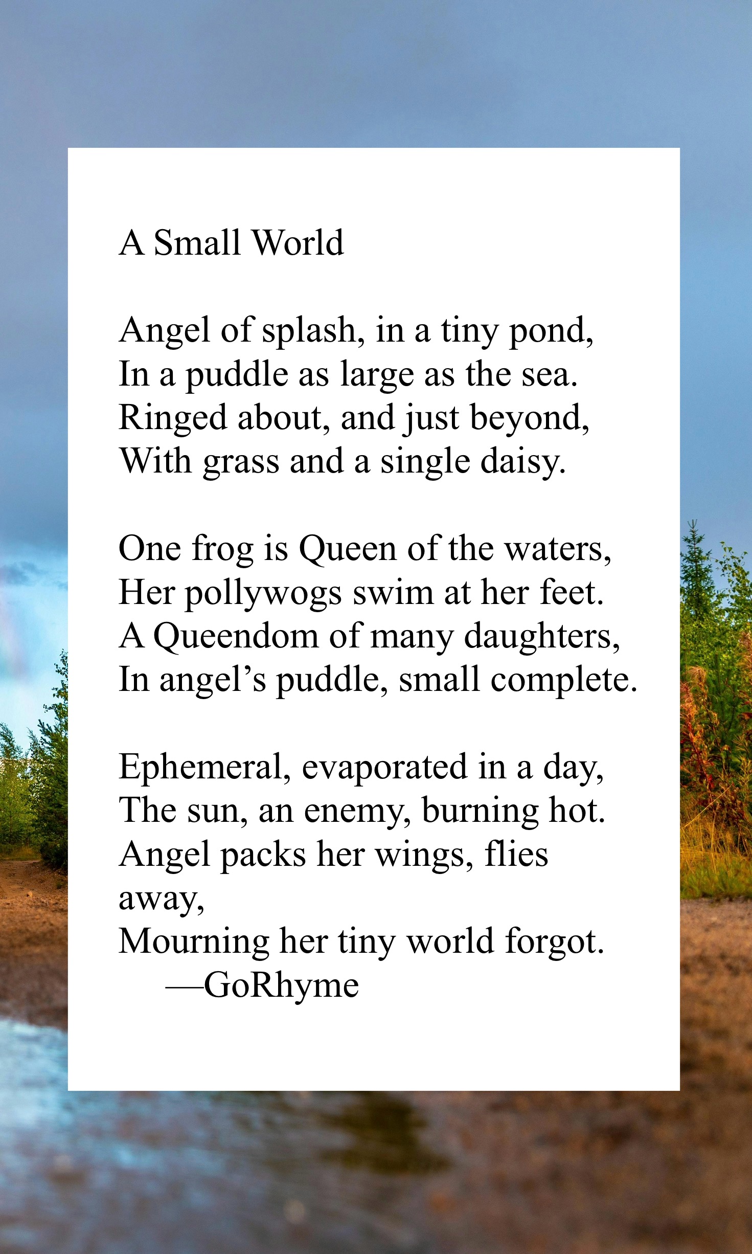 Poetry by Kelly Gray